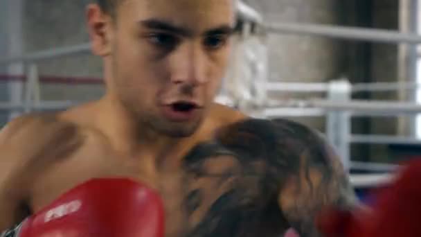 4K 60p Muscular Professional Boxer Hits Punch Bag. Caucasian Man Training Workout At Gym - Metraje, vídeo