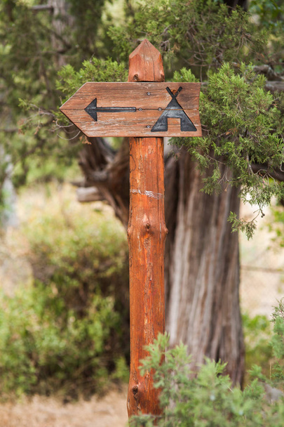 wooden signpost in the forest campground - 写真・画像