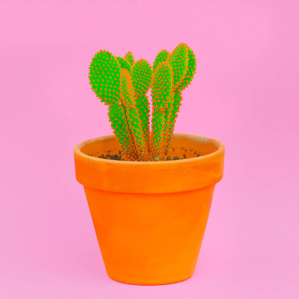 Plant on pink. Plant lovers. Minimal concept.  Cactus art - 写真・画像
