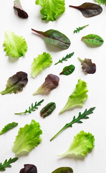 Green salad leaves on a white background. Pattern with lettuce leaves. Background design with leaves for salad. Pattern with lettuce leaves. - 写真・画像