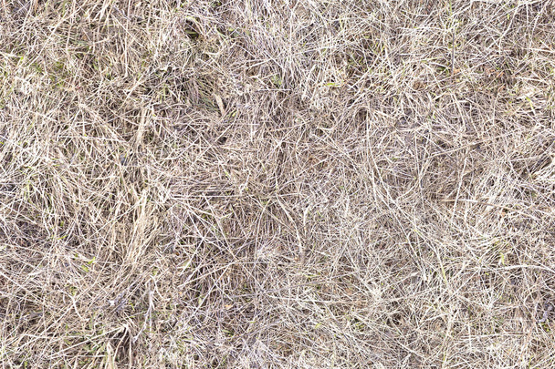 текстура сухої трави сіна безшовна
 - Фото, зображення