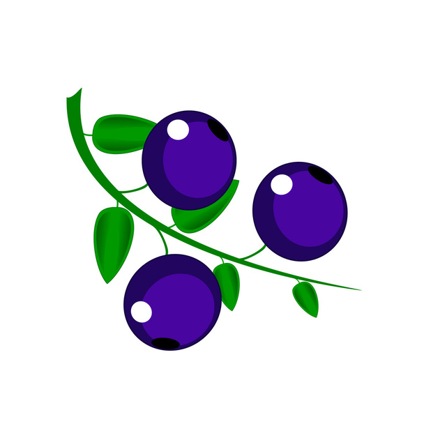 bright berry whortleberry - Фото, изображение