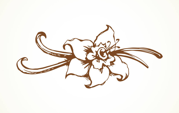 Asian orchid on light yellow backdrop. Outline freehand black ink hand drawn logo pictogram emblem sketchy in art retro doodle engraved style pen on paper space for text. View closeup - Vector, Image