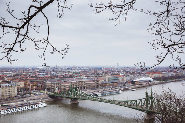 View of Budapest and the river Danube from the Citadella, Hungary in spring - Foto, afbeelding