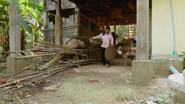 Mujer entra en un patio para separar y limpiar las cáscaras de judías verdes usando una bandeja de bambú
  - Metraje, vídeo