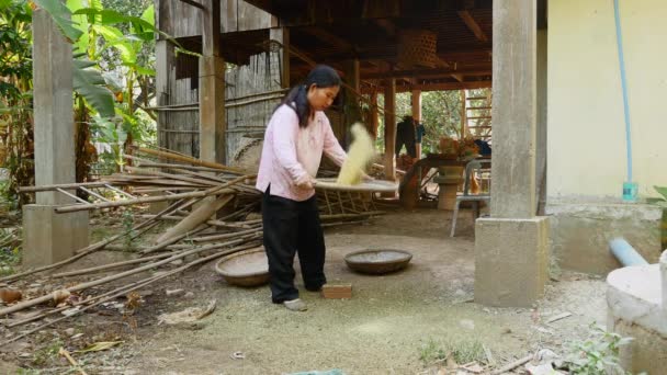 Žena oddělení a vyklízení slupky ze zelené fazolky zásobníkem bambus  - Záběry, video