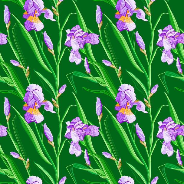 Floral pattern with iris flowers. Seamless vector pattern with colorful iris flowers. - Вектор, зображення