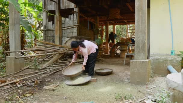 女性を分離して竹のトレイを使用して緑豆から殻を一掃  - 映像、動画