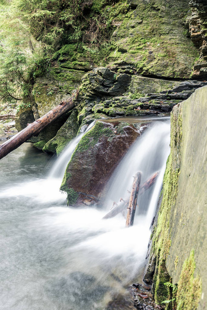 kleiner Gebirgswasserfall auf mit Moos bedeckten Felsen im Wald - Foto, Bild