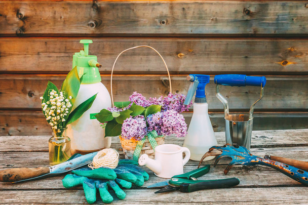 Tuinieren hulpmiddelen, gieter, schop, spade, Snoeischaar, rake, handschoen, lila bloemen op houten tafel in schuur. Lente of de zomer in de tuin. Eco natuur tuinbouw hobby concept achtergrond - Foto, afbeelding