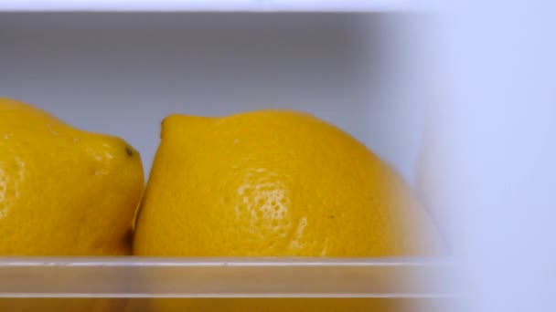Yellow lemons keeping freshness in fridge. Citrus fruits for food preparing. Fresh yellow lemons in icebox. Copy space. Vitamin C background. Dieting concept. Fruits freshness concept. Healthy food. - Кадры, видео