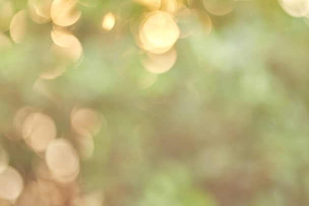 sunlight nature glitter green color nature bokeh focus soft blur abstract for background soft light and mask Copy space to add text - Photo, Image