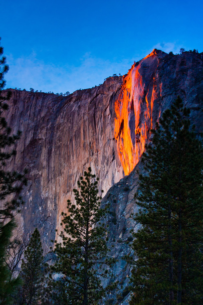 На закате в Национальном парке Йосемити, Калифорния, загорелся хвост
 - Фото, изображение