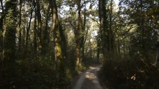 Land onverharde weg in Lomellina bij zonsondergang - Video