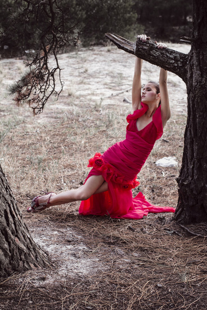 Modelo de moda en vestido rojo impresionante
 - Foto, imagen
