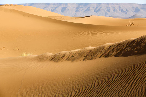 краєвид марокканської пустелі - Фото, зображення