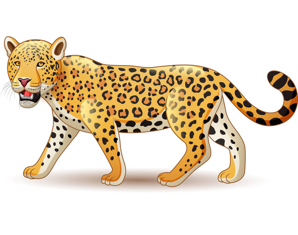 Векторная иллюстрация леопарда мультфильма на белом фоне
 - Вектор,изображение