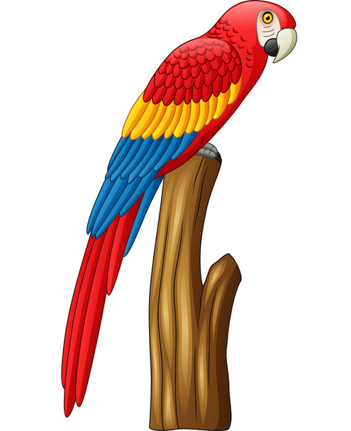 Vector illustration of Cartoon cute macaw bird - Vector, imagen
