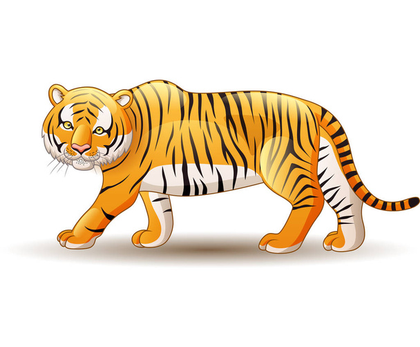 Векторная иллюстрация тигра на белом фоне
 - Вектор,изображение