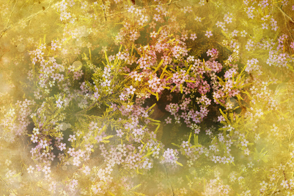 Szép tavaszi háttér virág - Fotó, kép