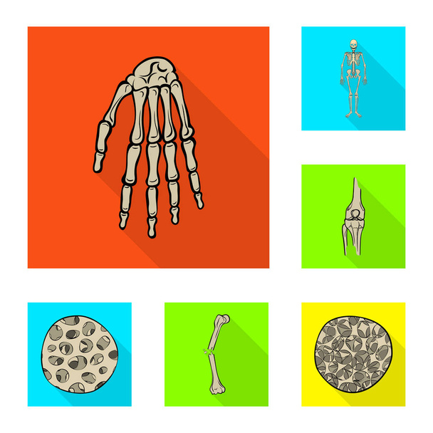 Vektor-Design von Knochen und Skelett-Logo. Sammlung von Knochen und menschlichen Vektorsymbolen auf Lager. - Vektor, Bild