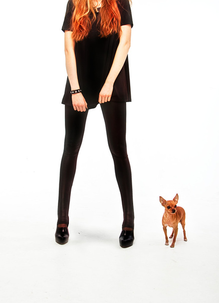 Girl with toy terrier dog - Foto, Bild