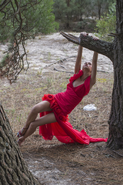 Muoti Malli Punainen mekko yksin metsässä
 - Valokuva, kuva