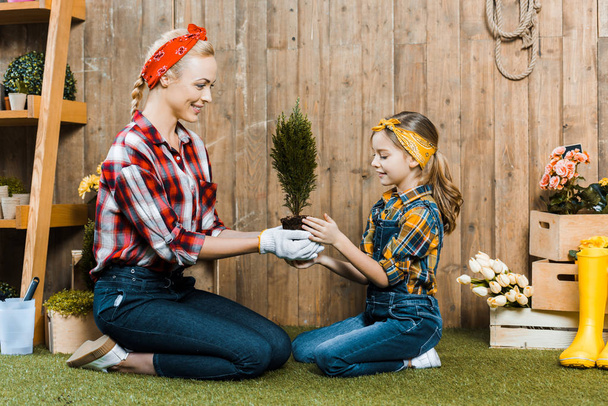 attractive woman  holding green plant and sitting with daughter on grass - Фото, изображение
