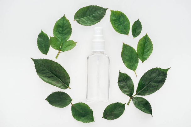 top view of circular composition with green leaves and empty spray bottle isolated on white - Photo, Image