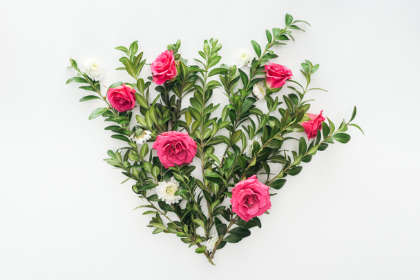 вид сверху на композицию цветов с розовыми розами, зеленым деревом и хризантемами на белом фоне
 - Фото, изображение