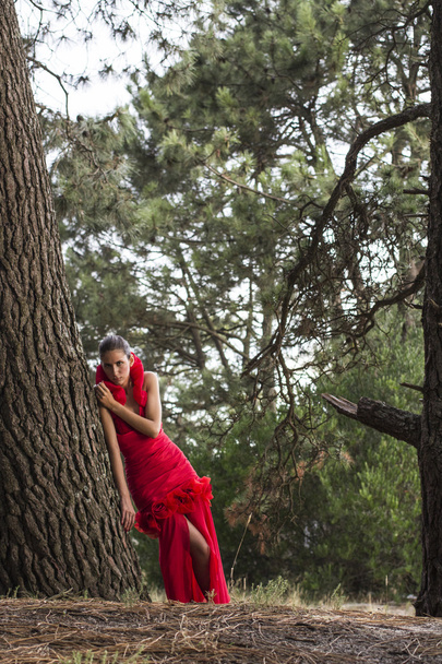 Young Model in Stunning Red dress - Foto, imagen