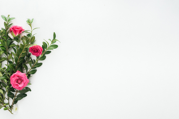 top view of composition with pink roses and green boxwood on white background - Foto, immagini
