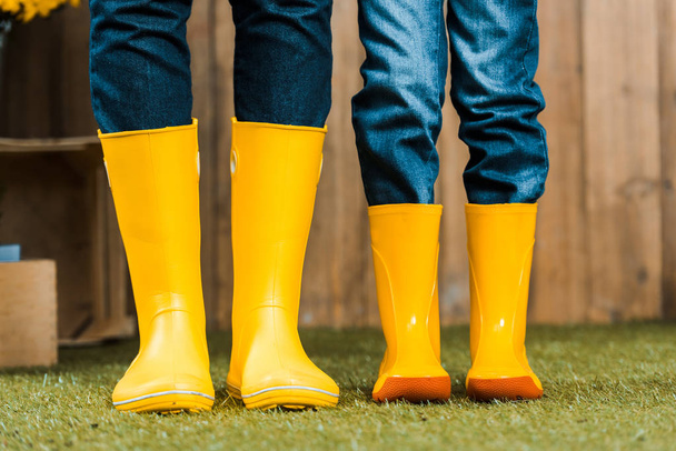 cropped view of mother and daughter standing in yellow shoes on green grass - Foto, Imagem