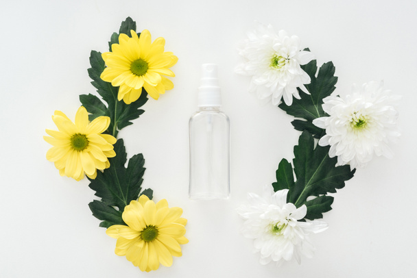 top view of compositions with chrysanthemums and empty spray bottle on white background - Фото, изображение