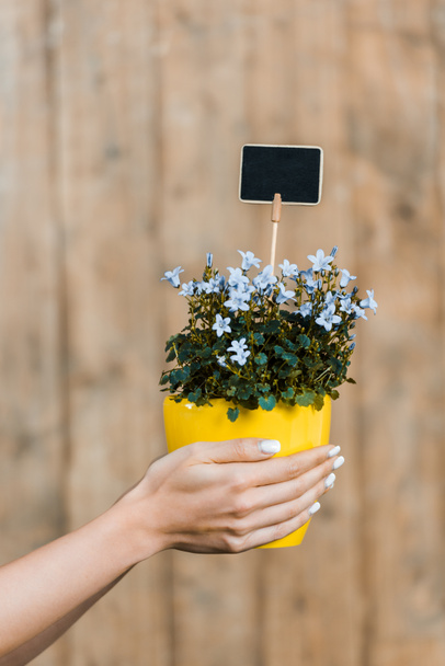cropped view of woman holding pot with flowers with small empty board in hands - Photo, Image