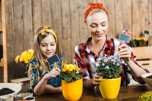 cute kid and mother putting small empty boards into pots with flowers - Photo, Image