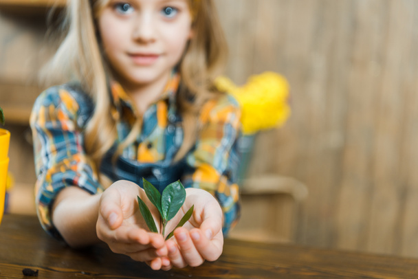 selective focus of green leaves in hands of cute kid  - Photo, Image