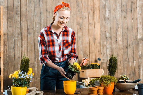 happy woman standing near table and  transplanting flowers into pot  - Foto, Imagem