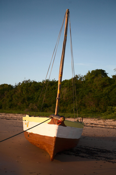 yellow dhow front view - Foto, Imagen