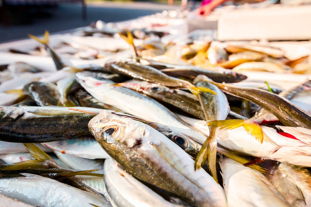 Stapel van verschillende verse vis te koop op de visboer, buiten vismarkt. - Foto, afbeelding