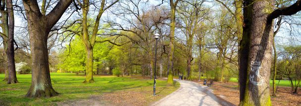 Park in spring time - Valokuva, kuva