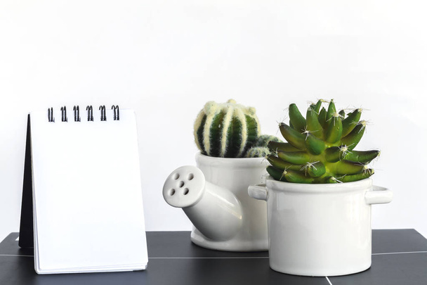 Cactus plastic with notepad isolated on white background. - Фото, изображение