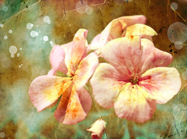 grunge virágos tavaszi háttér - Fotó, kép