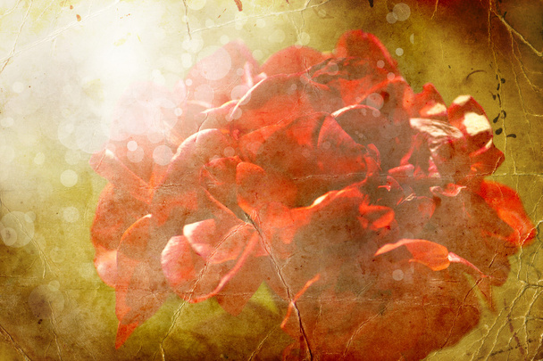 grunge háttér piros virágokkal - Fotó, kép