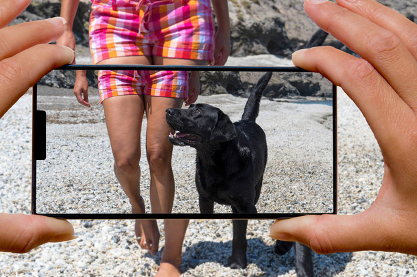 Женщина с фотографиями с мобильного телефона другая женщина со своей собакой на пляже
. - Фото, изображение