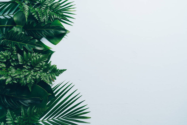 Tropical palm leaves on color background with copy space - Foto, afbeelding