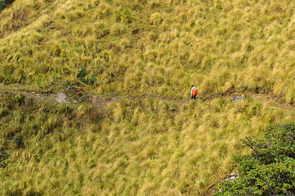A young man walking on Annapurna Trekking Trail in Nepal. - Photo, Image