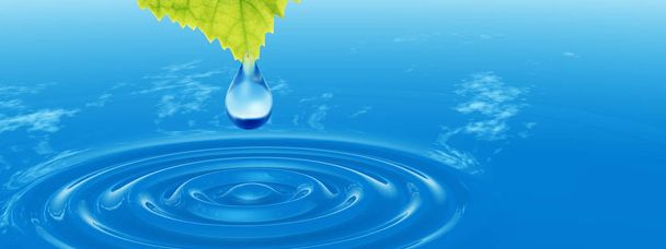 Käsitteellinen tai käsitteellinen puhdas lähdevesi tai kastepisara putoaa vihreästä tuoreesta lehdestä 3D-kuvassa sininen kirkas vesi tekee aaltoja banneri
 - Valokuva, kuva