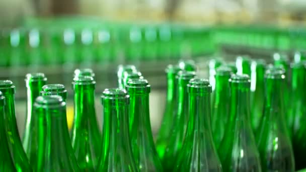 Champagne bottles on factory conveyor belt - Footage, Video