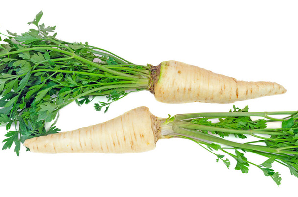 two roots of parsley on a white background - Photo, Image